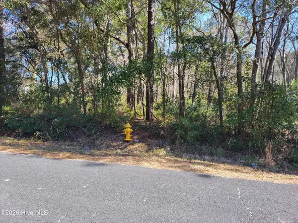 0 Shell Landing Road Sw, Supply, NC 28462