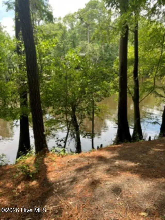 13 Riverview Drive, Burgaw, NC 28425 - #1