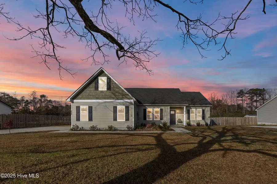 914 Haw Branch Road, Beulaville, NC 28518 - #2