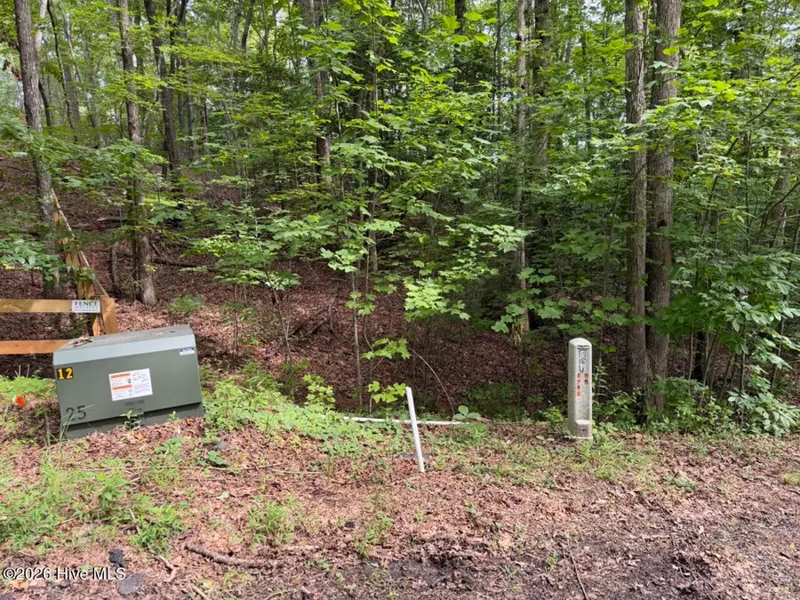 Lot 9 Confederate Circle, Murphy, NC 28906 - #2