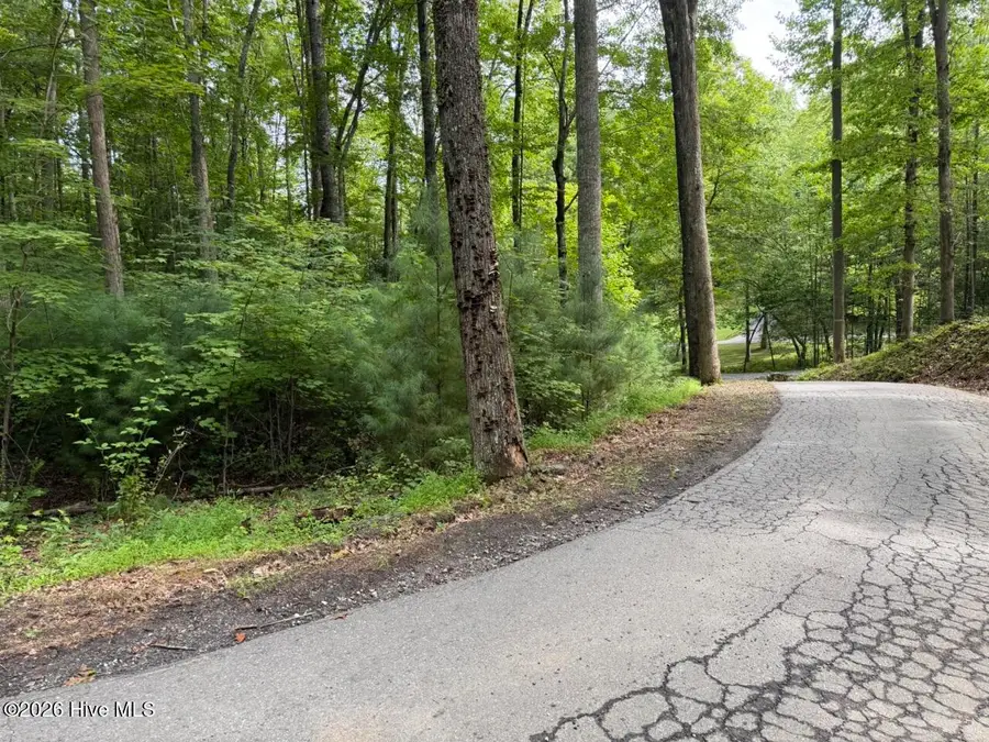 Lot 9 Confederate Circle, Murphy, NC 28906 - #3
