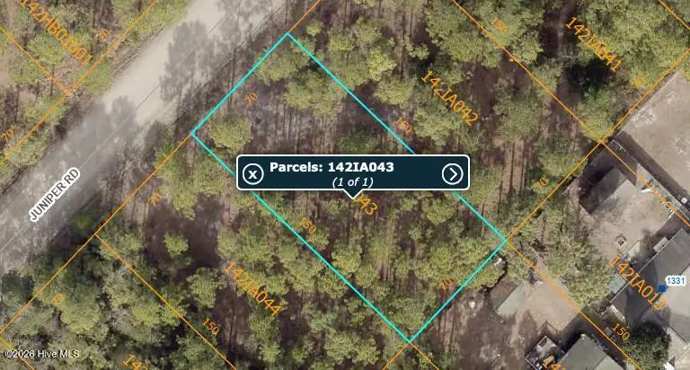 Lot 46 Juniper Road, Boiling Spring Lakes, NC 28461 - #1