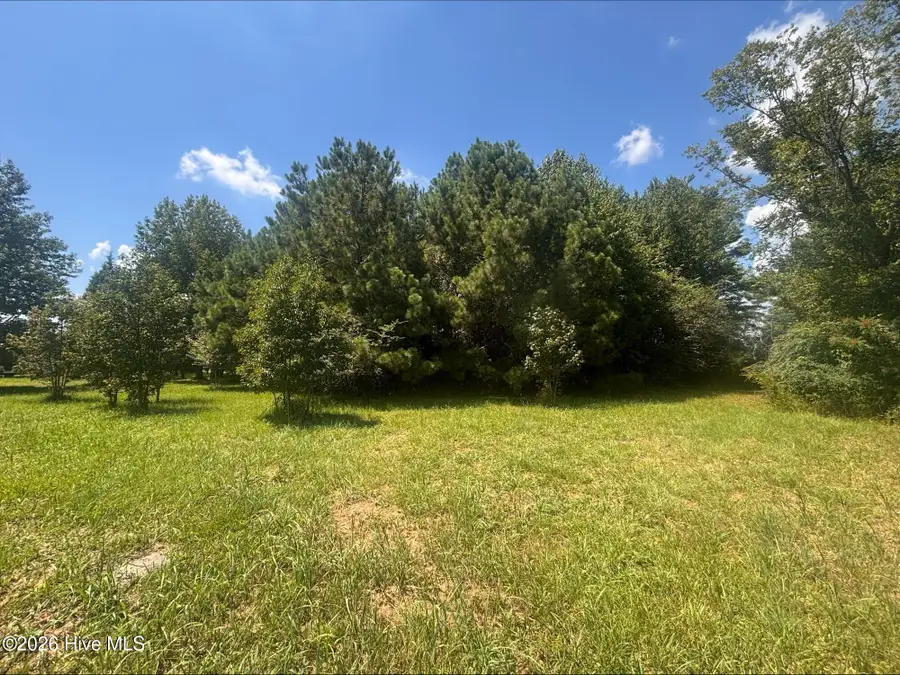 5369 Weyerhaeuser Road, Ayden, NC 28513 - #3