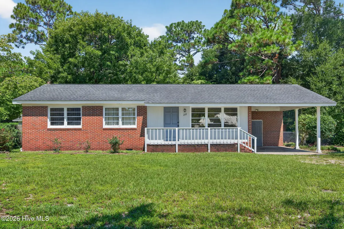 233 Long Leaf Acres Drive, Wilmington, NC 28405 - #1