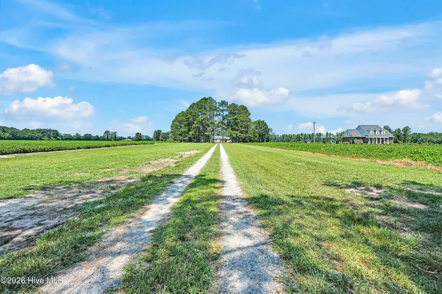 3275 Horse Branch Road, Willard, NC 28478 - #2