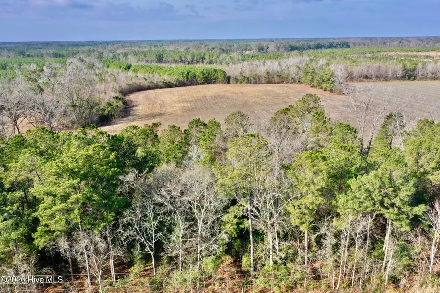 0 Near 4635 Hallsboro Road N, Clarkton, NC 28433 - #3