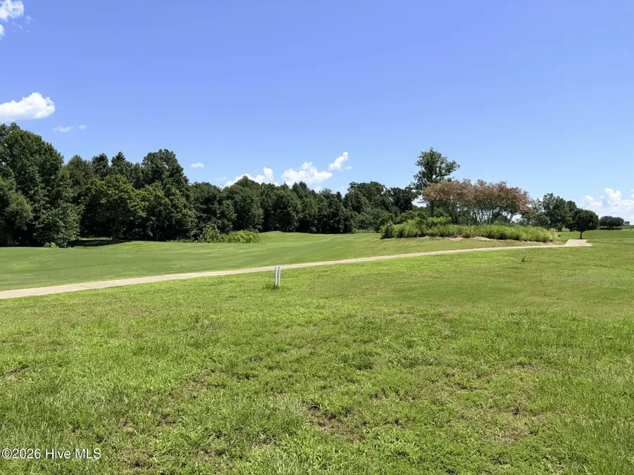 126 Prince Court, Merry Hill, NC 27957 - #3