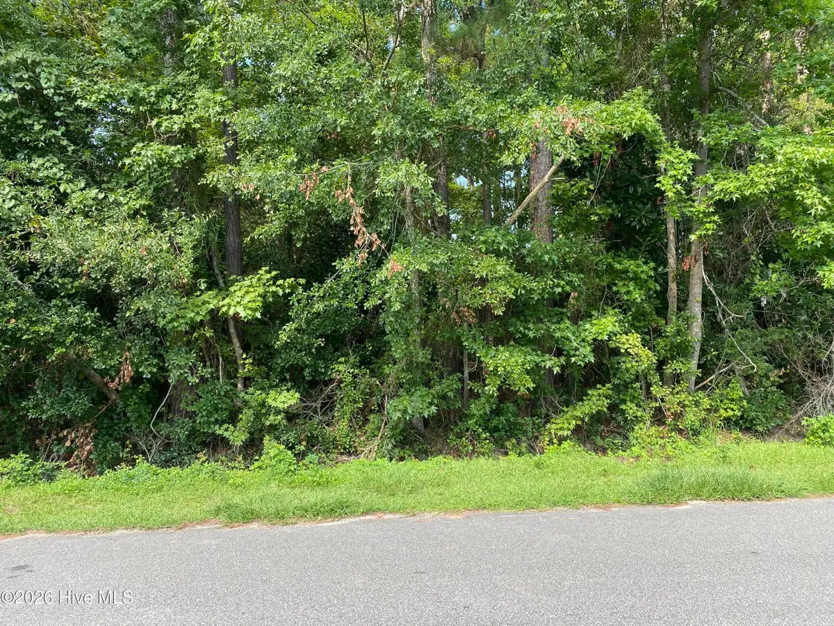 325 Trelawney Court, Wilmington, NC 28411 - #1
