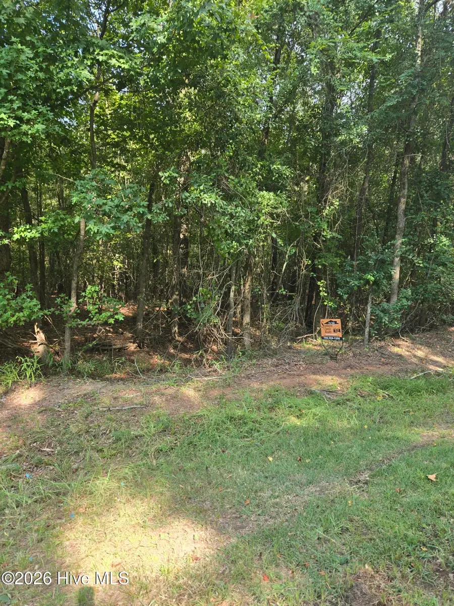 0 Deer Run Court, Lincolnton, GA 30817 - #2
