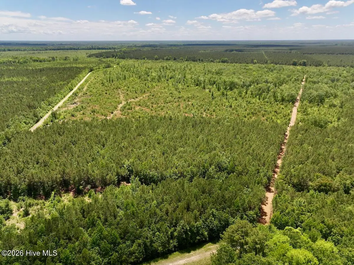 0 Guinea Mill Road, Ernul, NC 28527 - #1