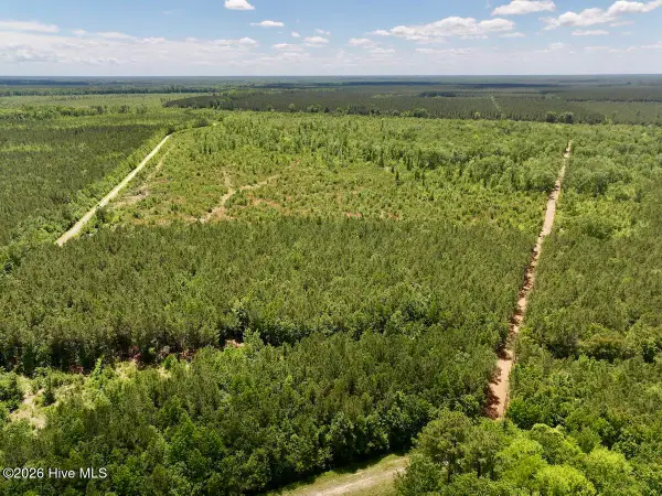 0 Guinea Mill Road, Ernul, NC 28527