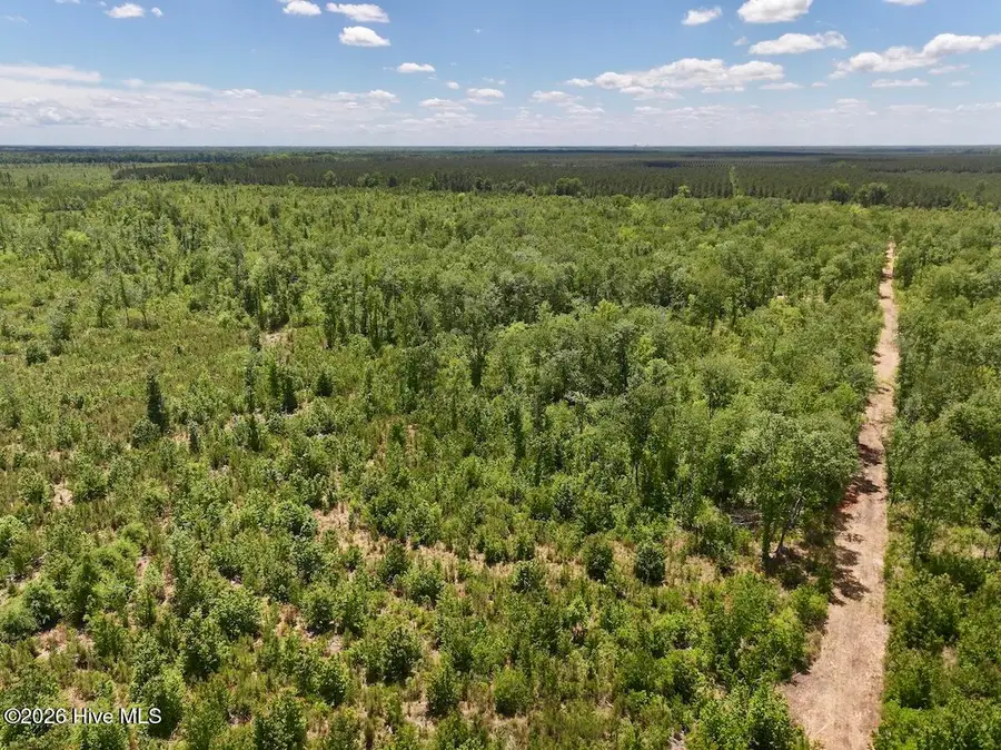 0 Guinea Mill Road, Ernul, NC 28527 - #2
