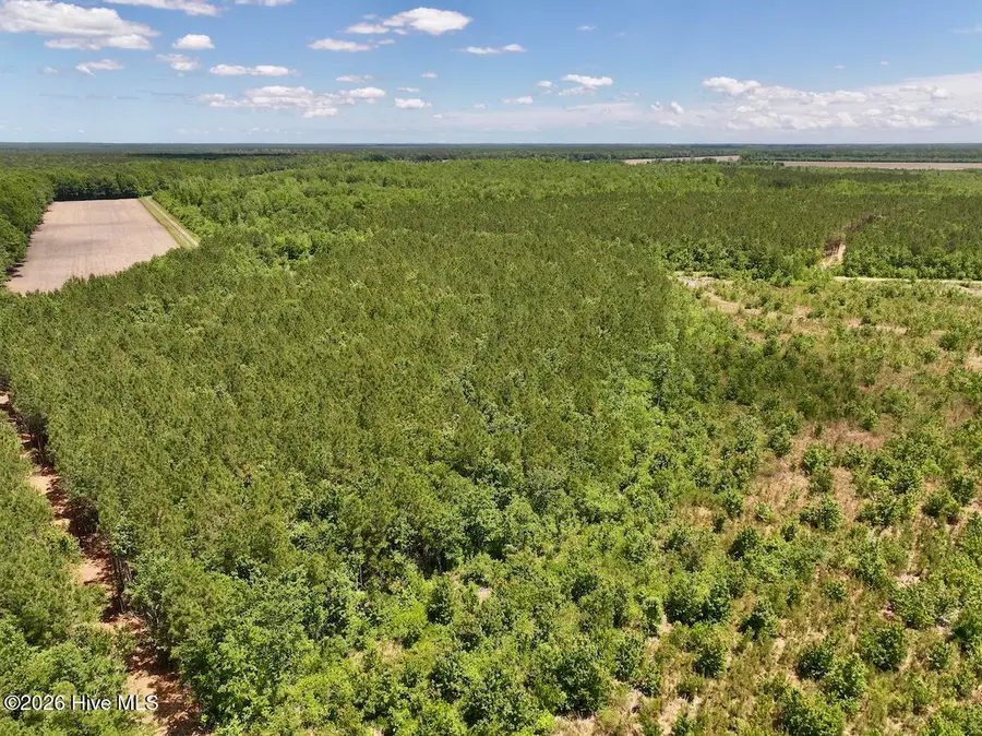 0 Guinea Mill Road, Ernul, NC 28527 - #3
