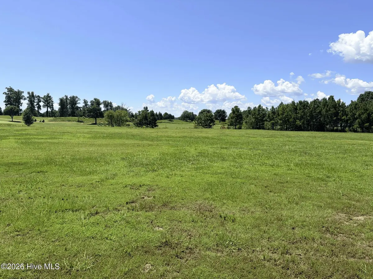 132 E Royal Way, Merry Hill, NC 27957 - #1