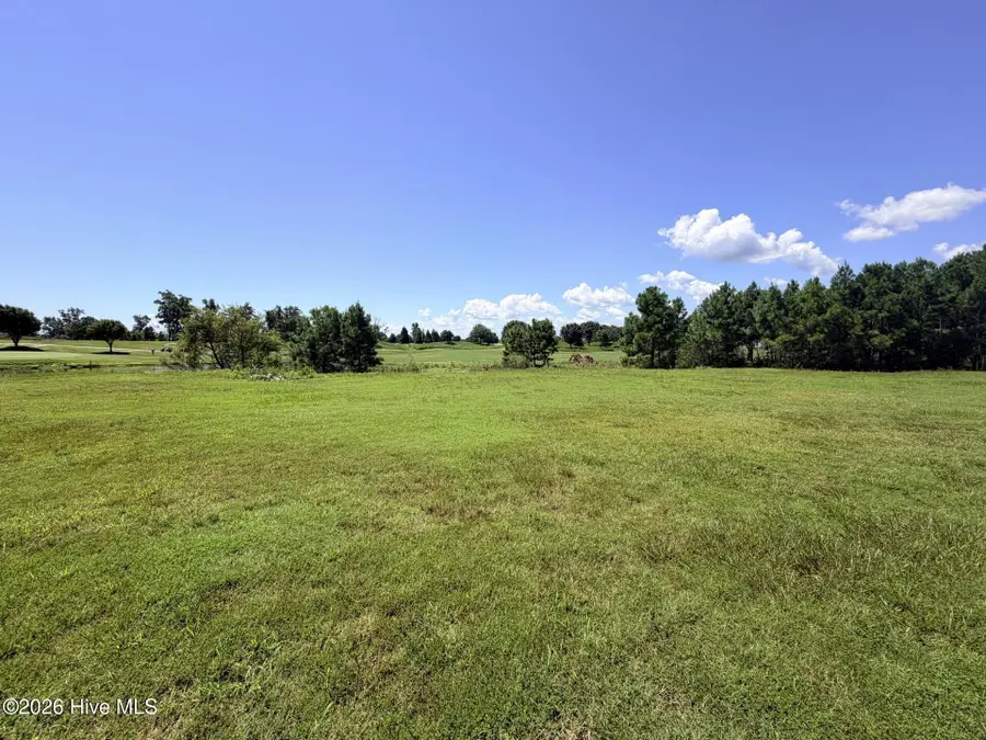 132 E Royal Way, Merry Hill, NC 27957 - #2