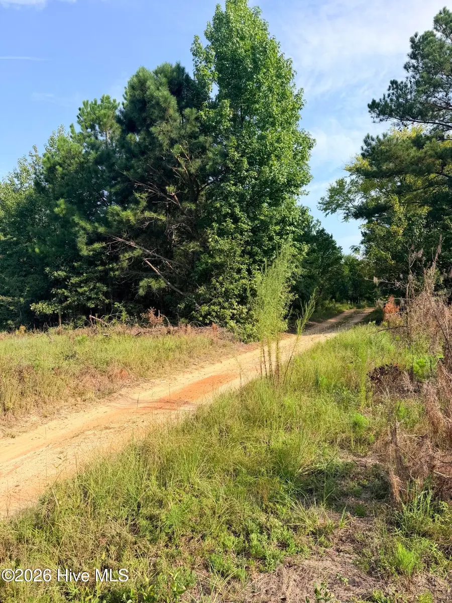 141 Autumn Chase Lane, Beech Island, SC 29842 - #2