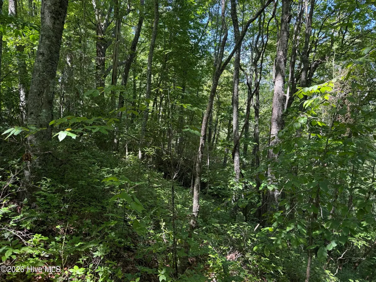 Lot 2 Amber Lane, Topton, NC 28781 - #1