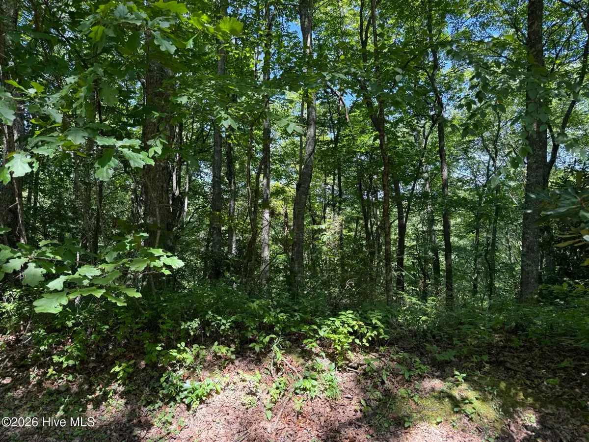 Lot 3 Amber Lane, Topton, NC 28781 - #1