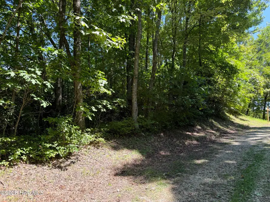 Lot 3 Amber Lane, Topton, NC 28781 - #3
