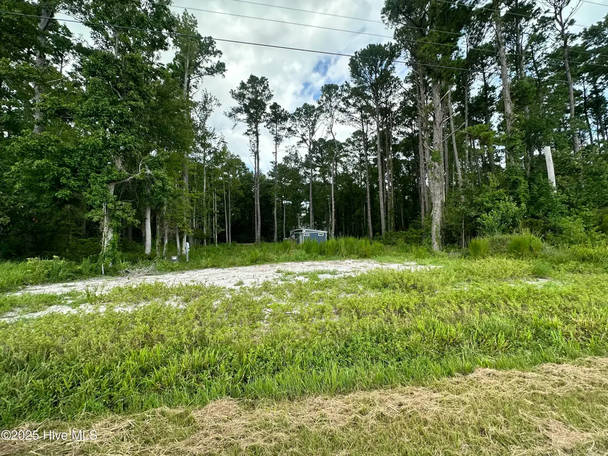 690 Oriental Road, Oriental, NC 28571 - #1