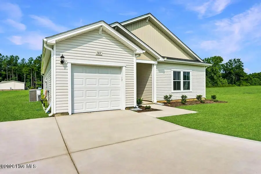 107 Franklin Landing Drive, Pikeville, NC 27863 - #2