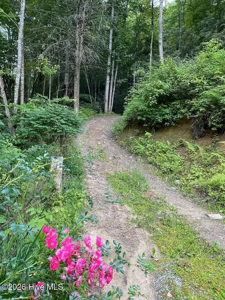 00 Amber Lane, Topton, NC 28781 - #2