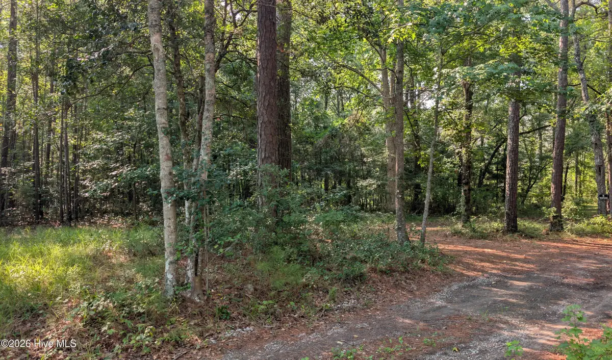 310 Sassafras Lane Sw, Supply, NC 28462 - #1