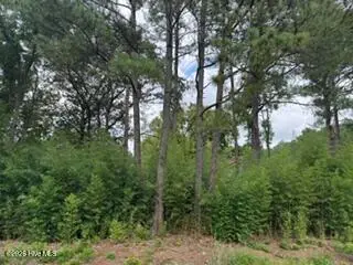 1298 Moores Chapel Road, Lillington, NC 27546 - #2