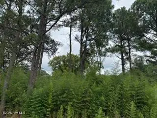 1298 Moores Chapel Road, Lillington, NC 27546 - #3