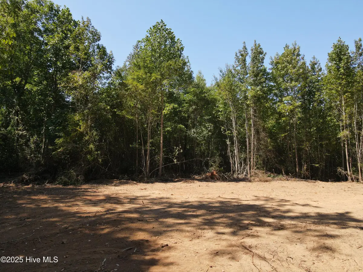00 Alert Road, Louisburg, NC 27549 - #1