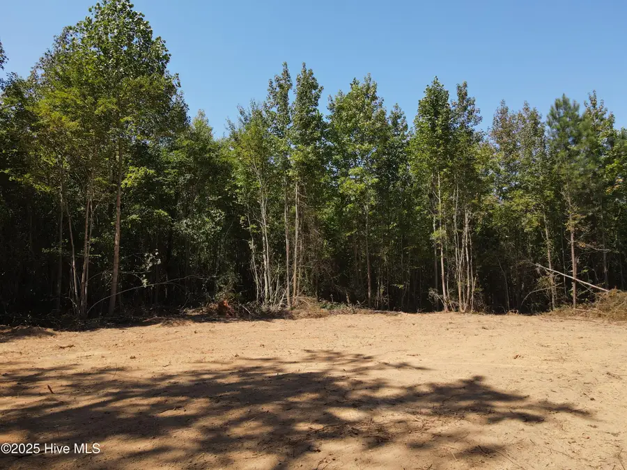 00 Alert Road, Louisburg, NC 27549 - #3