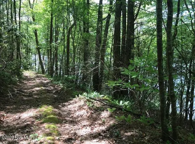 21 Rainwater Point, Topton, NC 28781 - #2