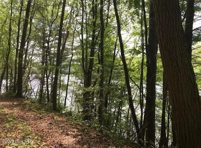 21 Rainwater Point, Topton, NC 28781 - #3