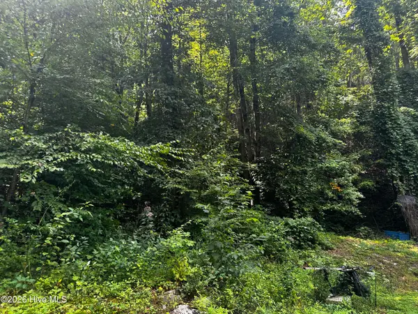 2710 Junaluska Road, Andrews, NC 28901