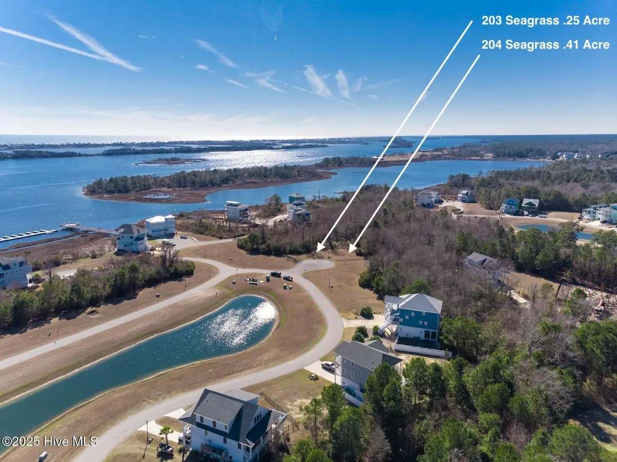 203 Seagrass Court, Holly Ridge, NC 28445 - #1