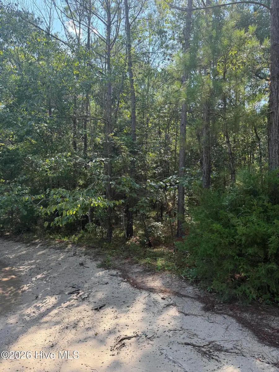 2853 Robin Drive Sw, Shallotte, NC 28470 - #3