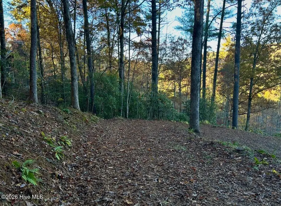 84 Nottley Ridge Road, Murphy, NC 28906 - #3