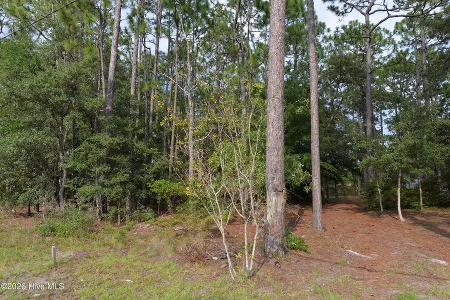 873 Eden Drive, Southport, NC 28461 - #2