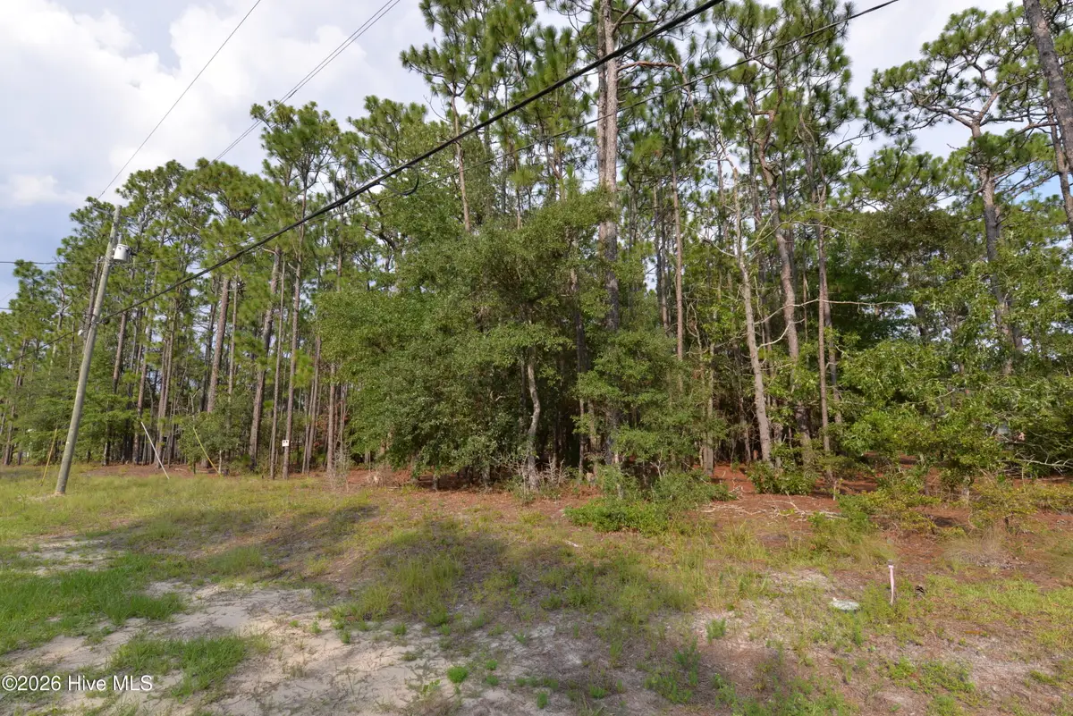881 Eden Drive, Southport, NC 28461 - #1