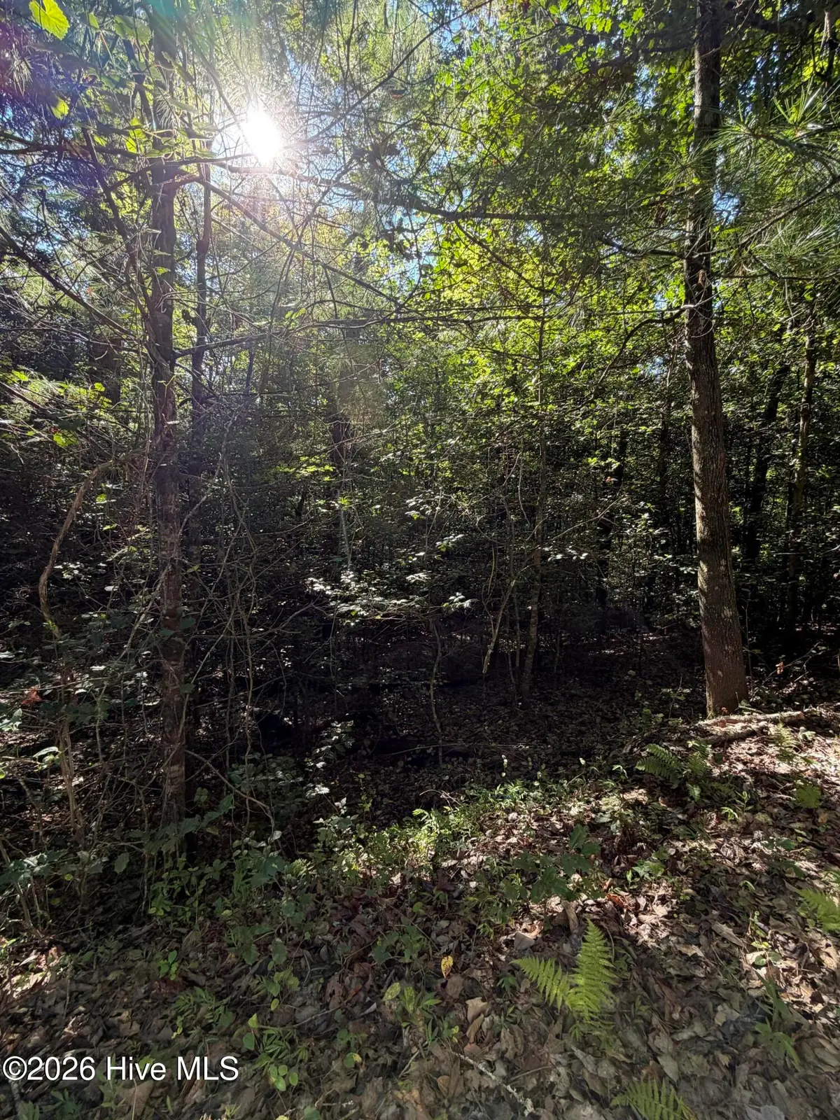 0 Explorer Ridge, Murphy, NC 28906 - #1