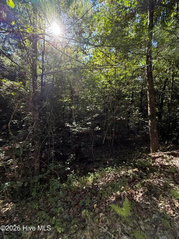 0 Explorer Ridge, Murphy, NC 28906