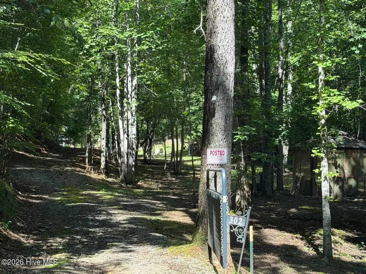 302 Dollie Sneed Lane, Murphy, NC 28906 - #1