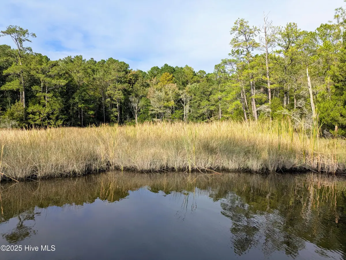 238 Mill Creek Road, Stella, NC 28582 - #1
