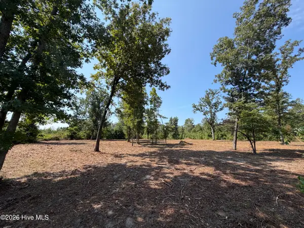 0 Poole Melton Road, Blythe, GA 30805