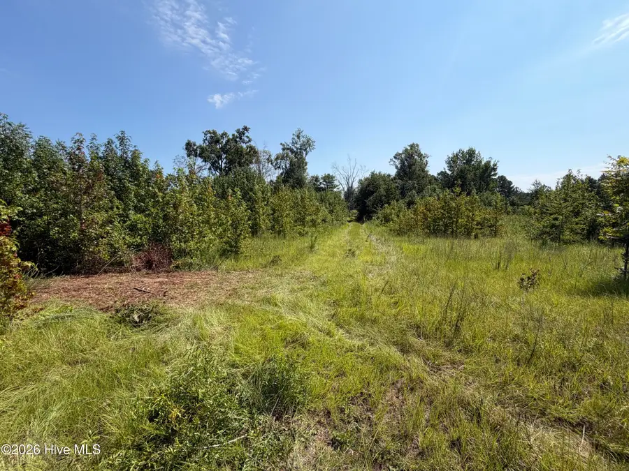 0 Poole Melton Road, Blythe, GA 30805 - #2