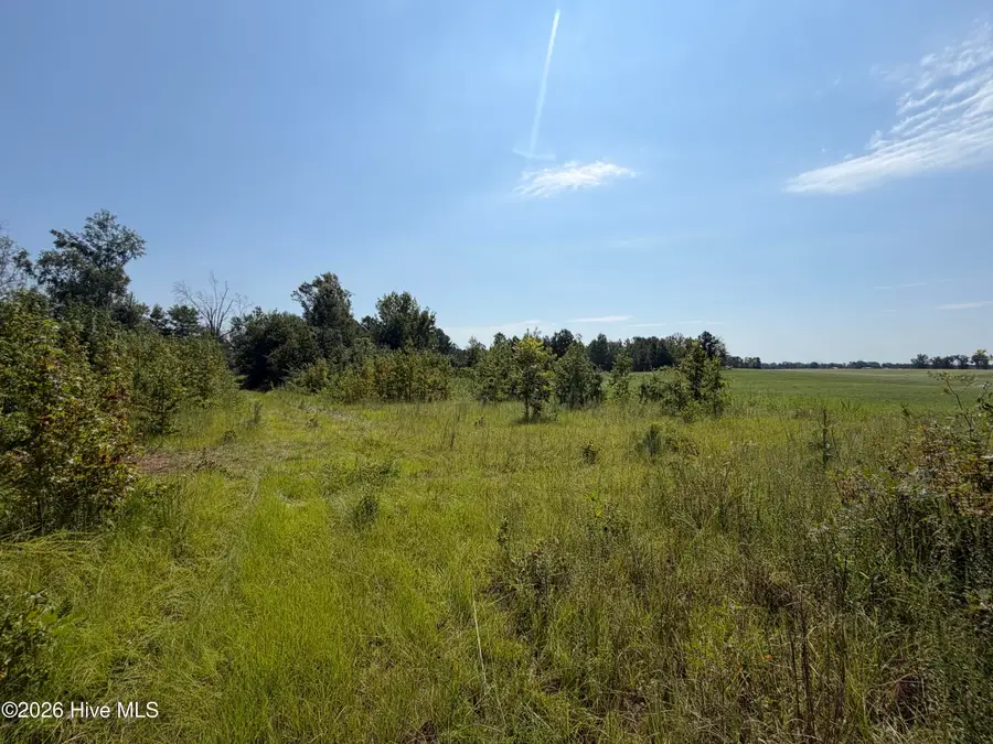 0 Poole Melton Road, Blythe, GA 30805 - #3