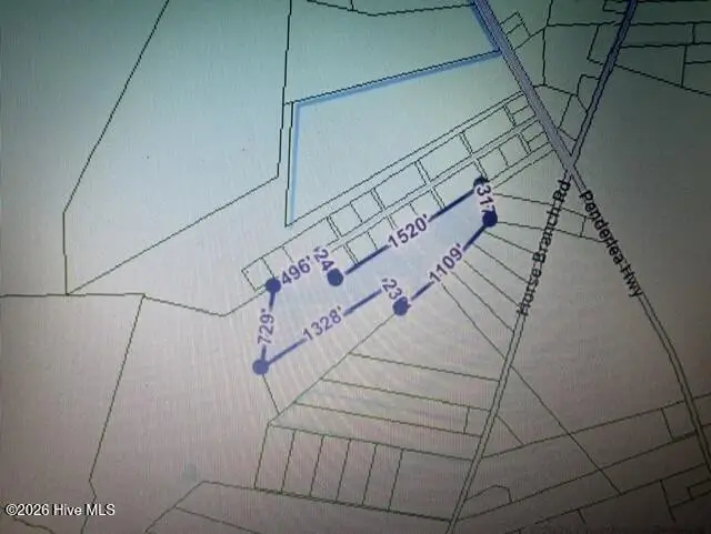23.16 Acre Sunset Avenue Highway, Willard, NC 28478 - #1