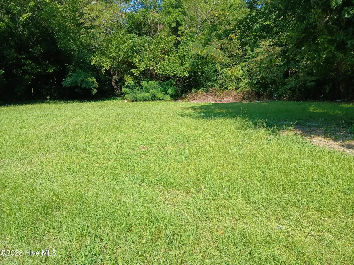 509 S Slocumb Street, Goldsboro, NC 27530 - #1