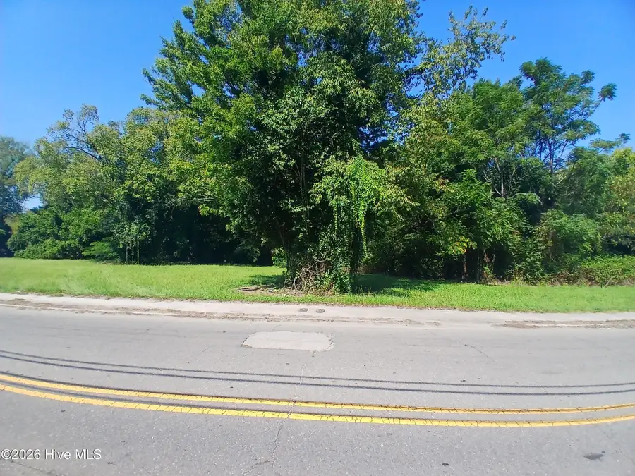 509 S Slocumb Street, Goldsboro, NC 27530 - #2