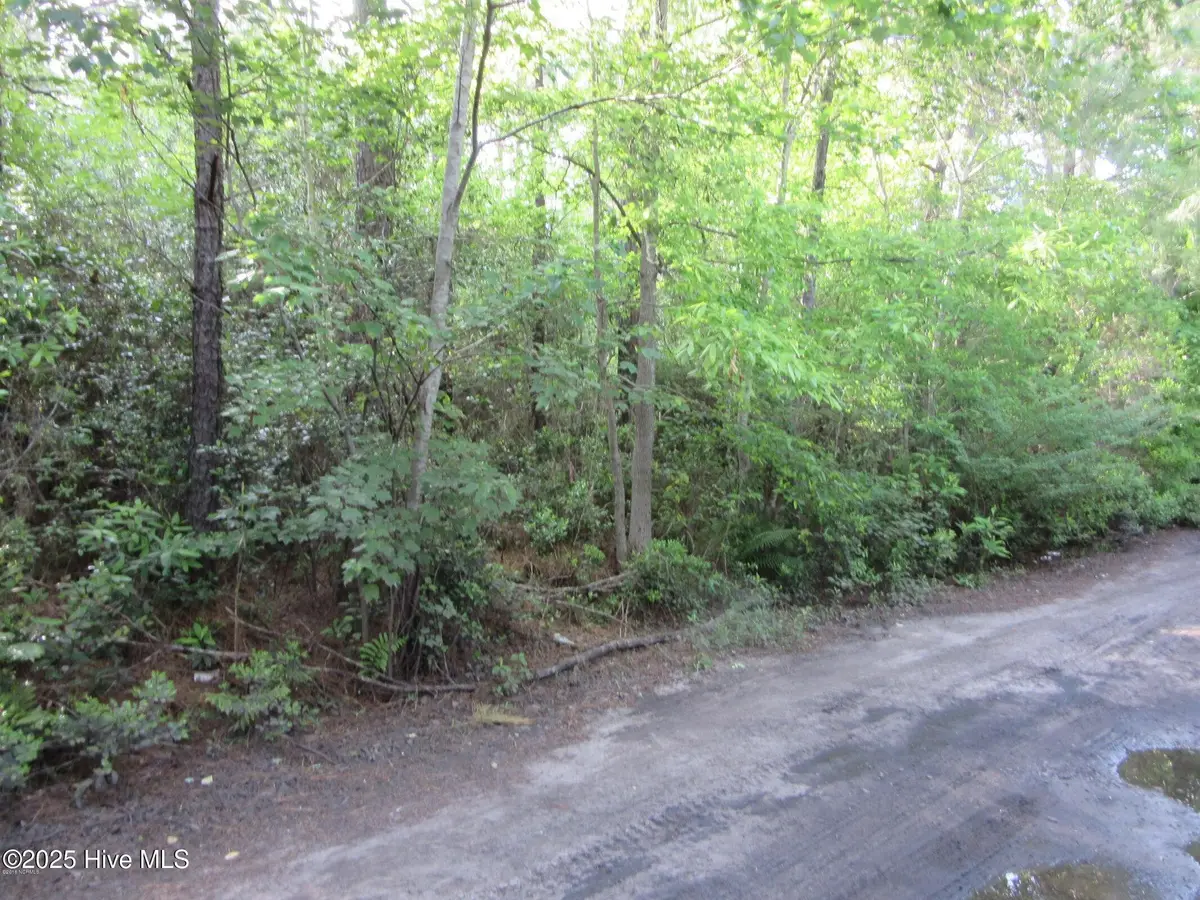 1253 Crooked Pine Road, Wilmington, NC 28411 - #1